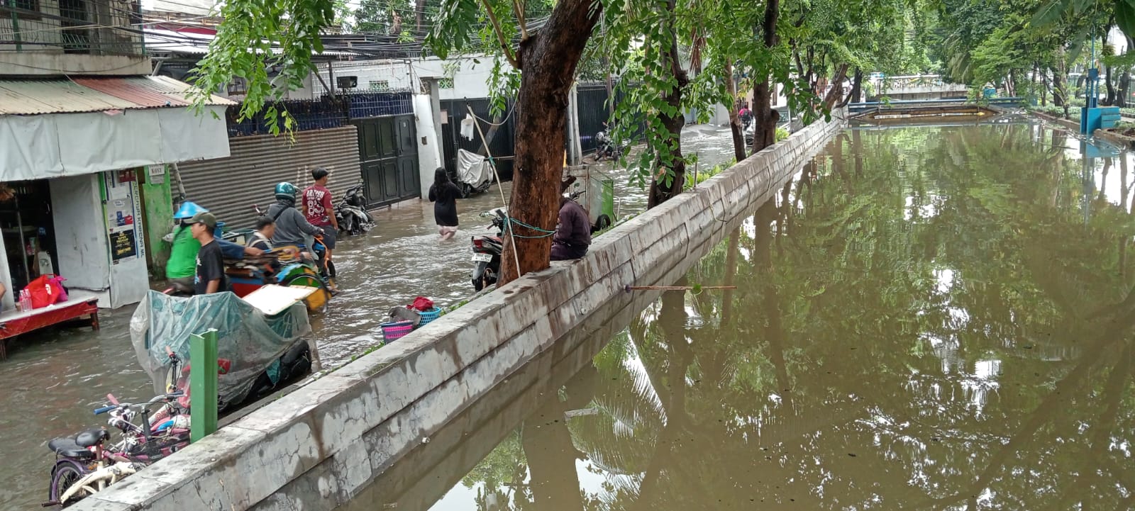 Banjir di wilayah Pademangan Barat, Jakarta Utara pada tahun 2024. (HALLONEWS/Anjas).